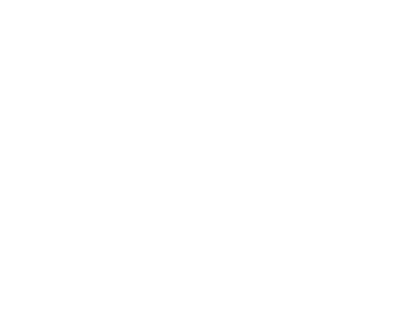 CSS modules logo